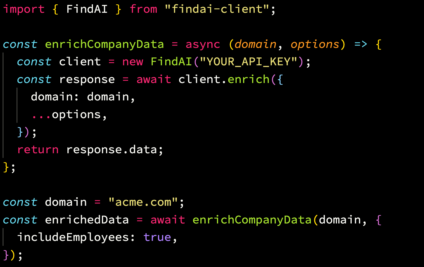 Company Enrichment API visual